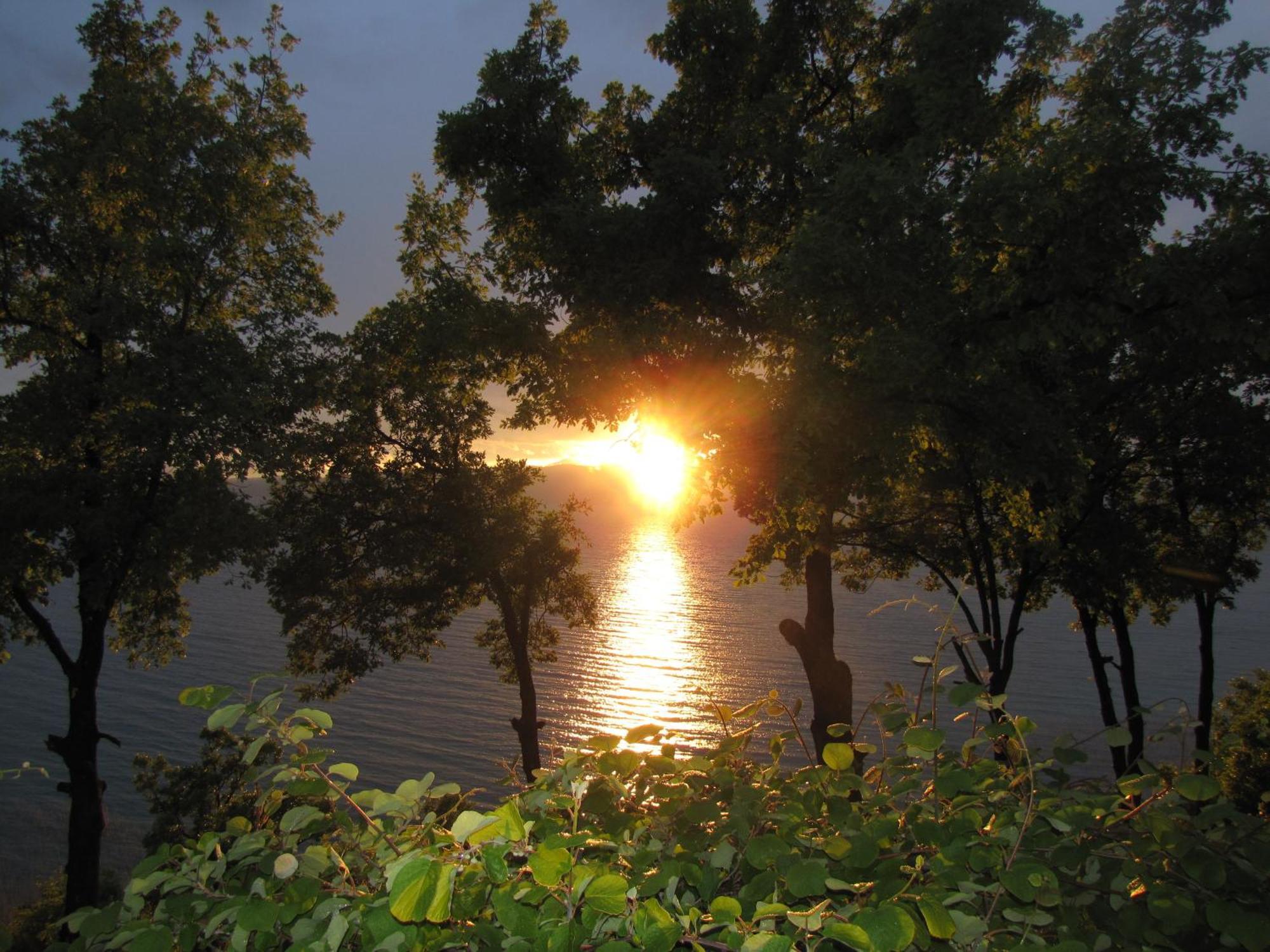 Golden Sunset Apartments Ohrid Bagian luar foto